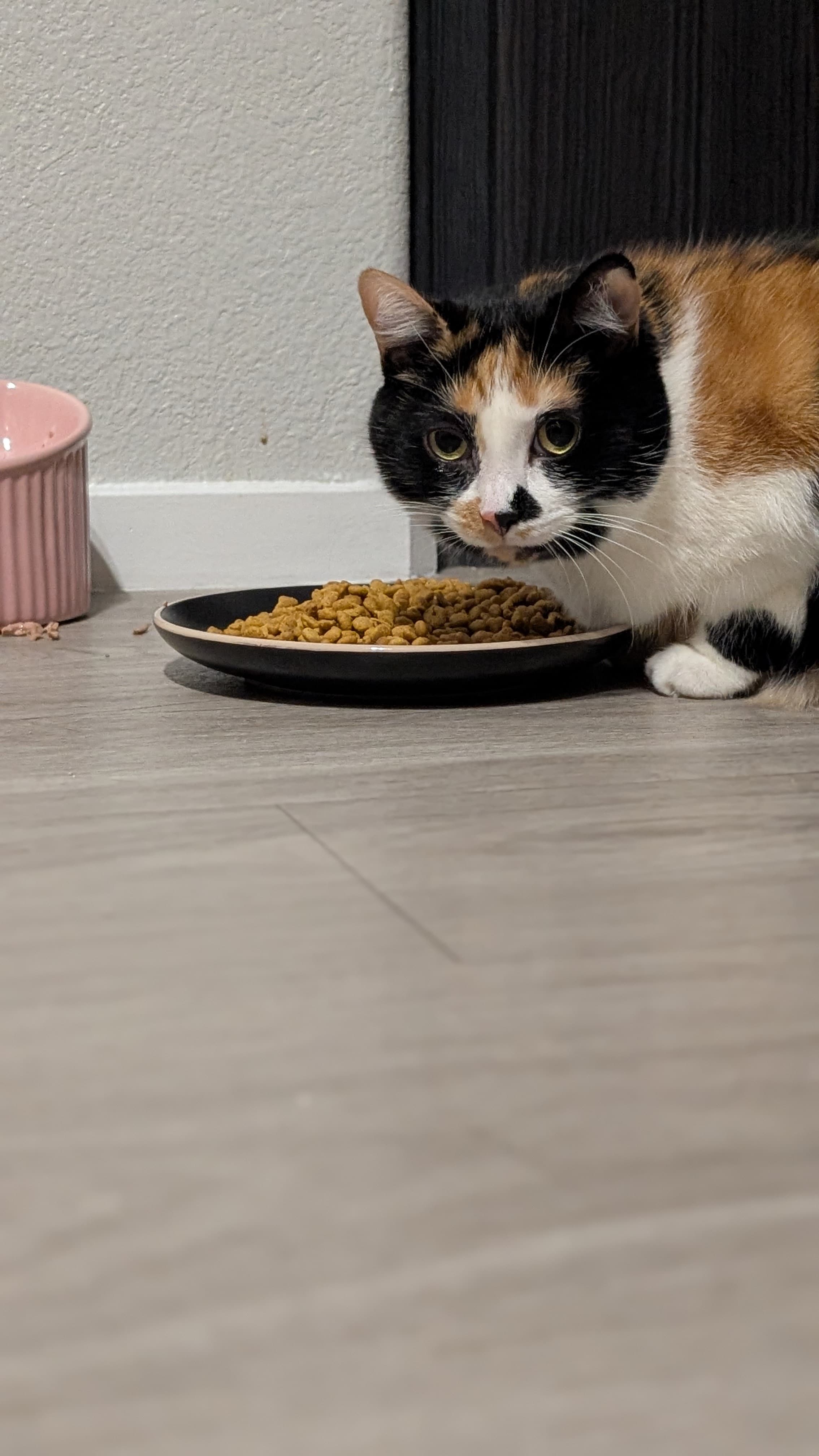 2661588090346455150 382b22