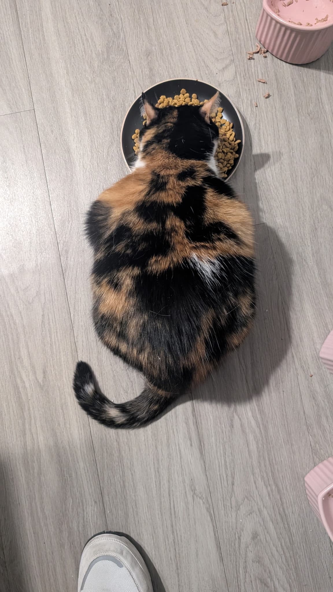 8469095612784429415 3443f9