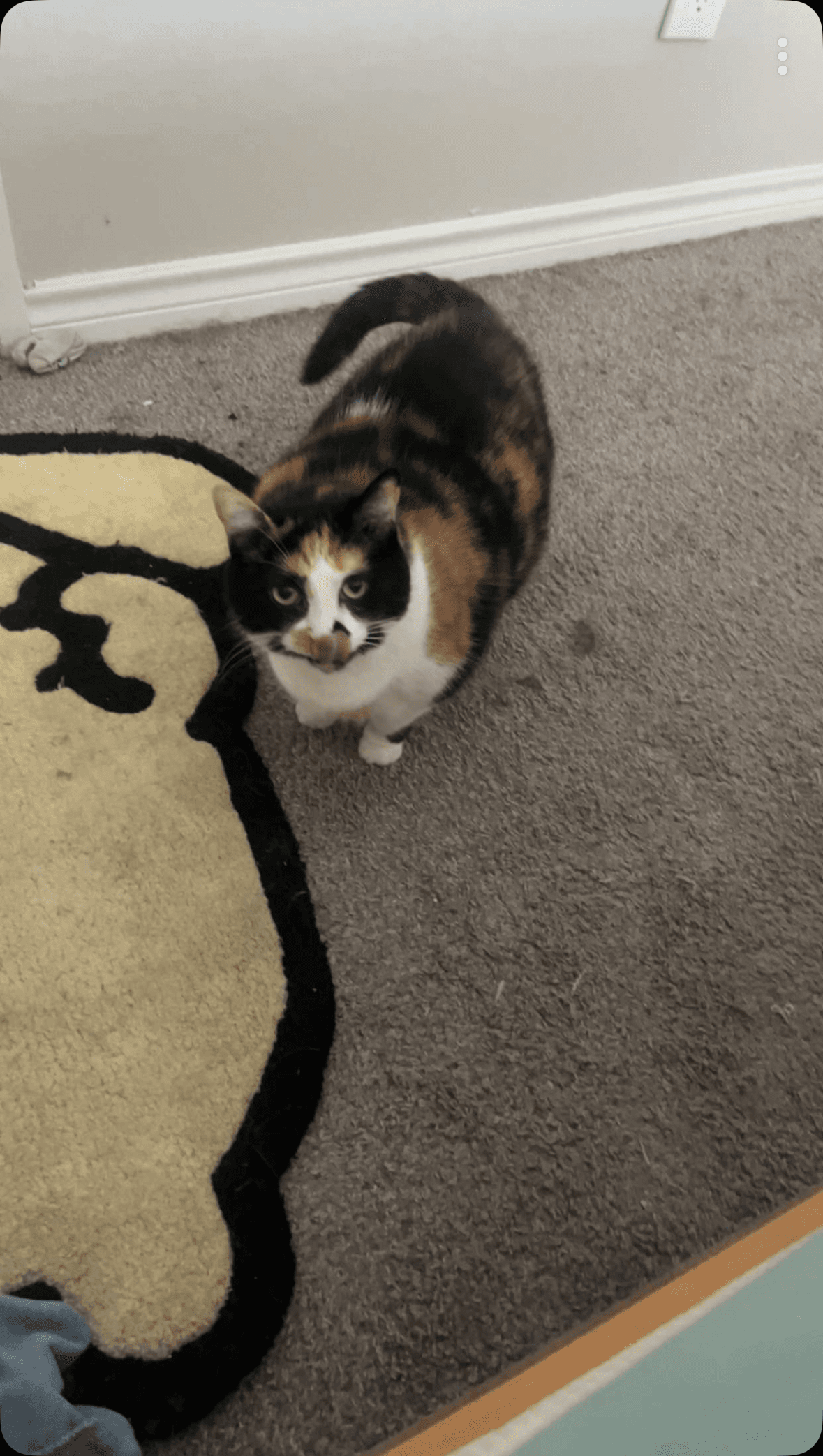 Screenshot 2024 10 06 At 12 08 49 Pm Jpeg 0004dc